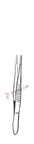 Forceps,dressing,standard,155mm,str